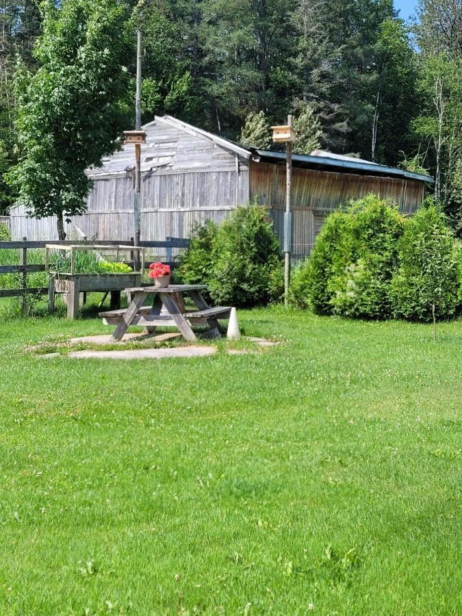 Le Gîte Du Gardien Blanc Saint-David-de-Falardeau Extérieur photo