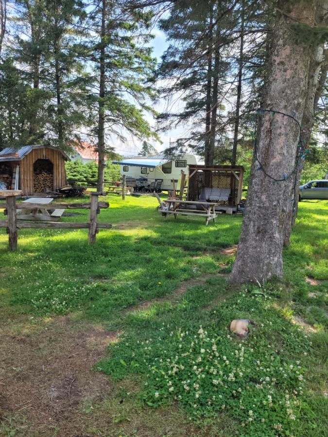 Le Gîte Du Gardien Blanc Saint-David-de-Falardeau Extérieur photo